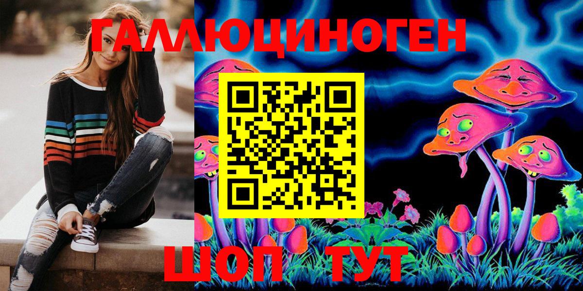 Ирбит  Галлюциногенные грибы Psilocybe  Вход с VPN 