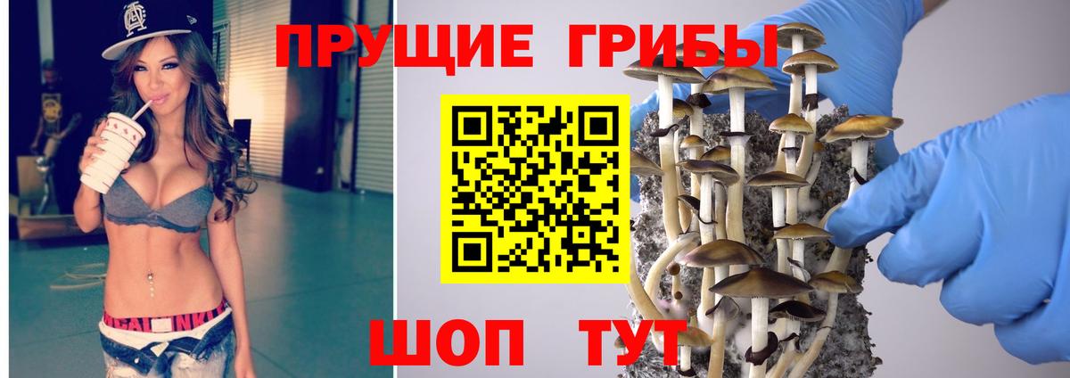 Галлюциногенные грибы MAGIC MUSHROOMS Ирбит